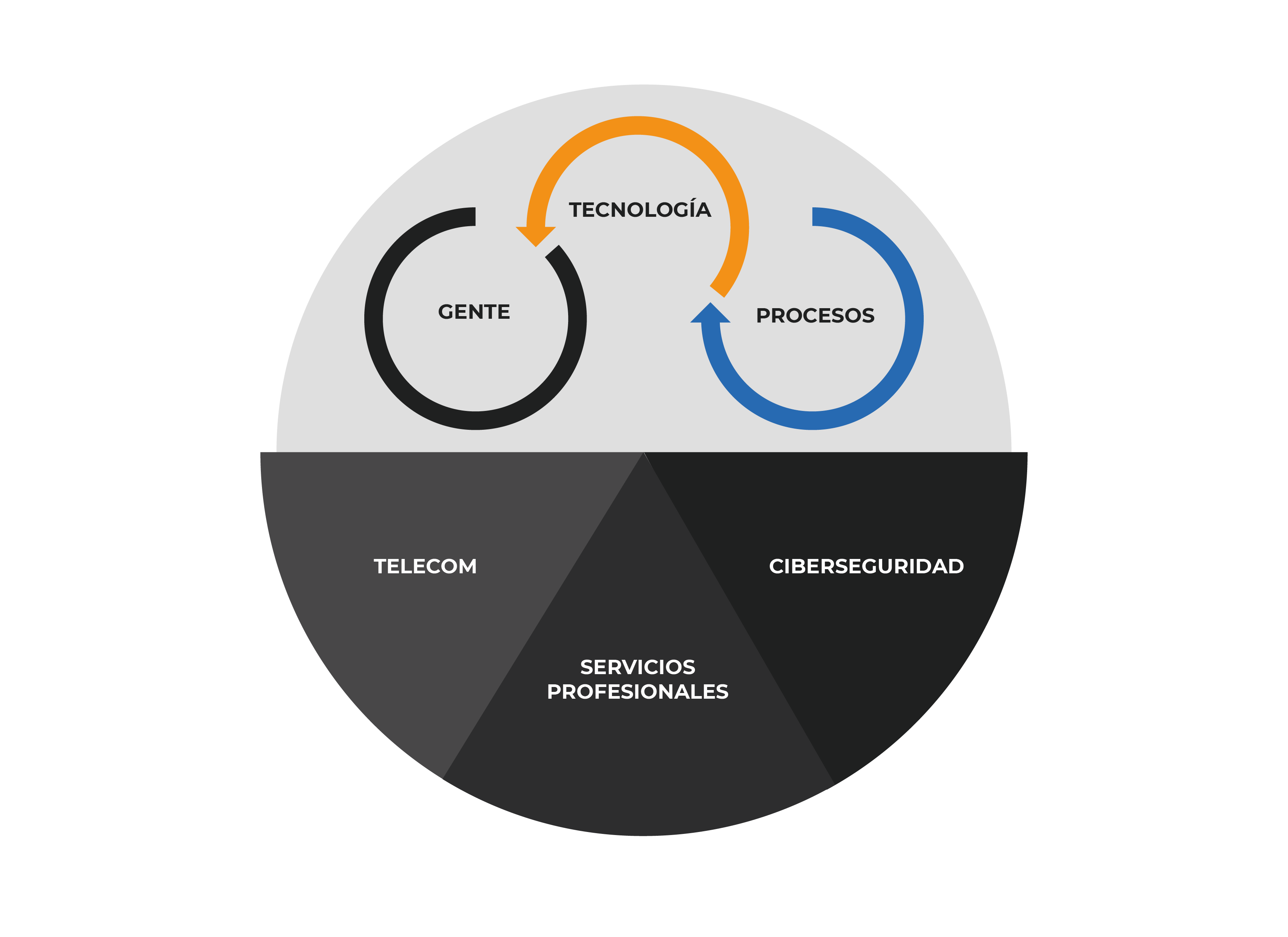 grafico expertos de ciberseguridad